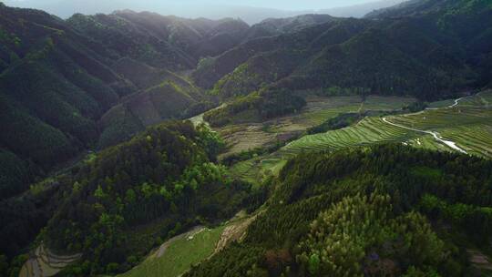 梯田航拍