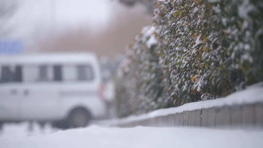 风景 冬季 冬天 雪景 下雪