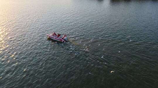航拍滇池游船与海鸥