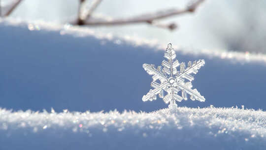 微距雪花冰晶生长