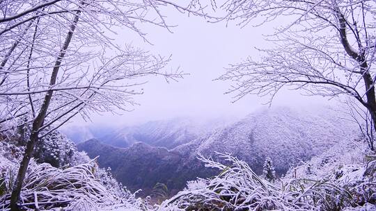 江西三清山雪景视频素材模板下载