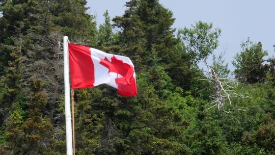 阿甘斯特风中飘扬的加拿大国旗