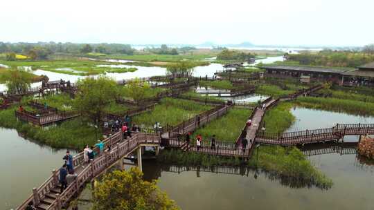 合集下渚湖湿地日出日落游客延时美景