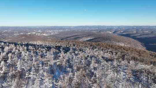 银装素裹的冬日山林雪景