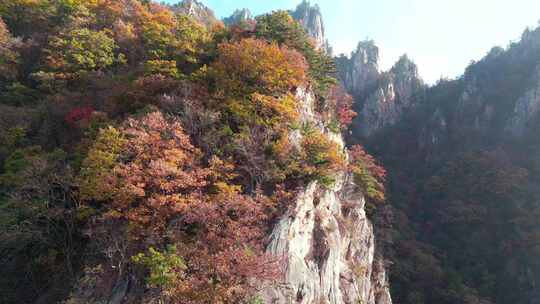 南阳老界岭秋景风光