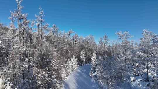 林海雪原雪林和山路