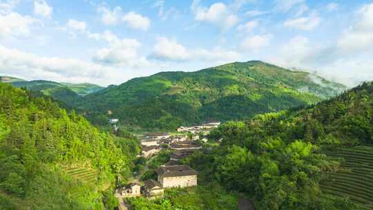 夏日清晨河坑土楼群的航拍景观