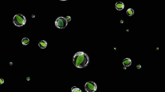 泡泡绿叶舞动装饰素材视频素材模板下载
