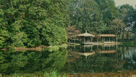 太子湾公园的静谧湖景