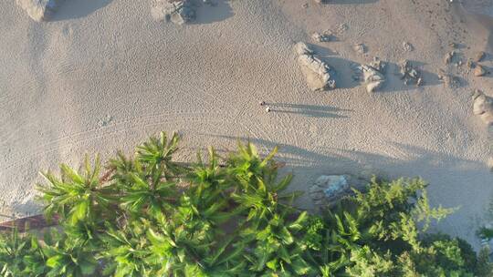 清晨两人在沙滩休闲散步的影子
