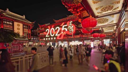 2025年上海豫园民俗艺术灯会春节新年