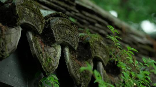 133 杭州 寺庙 古建筑 下雨天 屋檐 瓦片