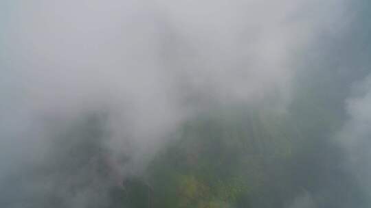 无人机飞过云雾缭绕的山脉航拍武功山云海