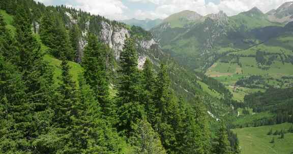 瑞士，阿尔卑斯山，山脉，山谷