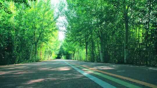 休闲道路运动慢跑-塑胶跑道公园小路视频素材模板下载