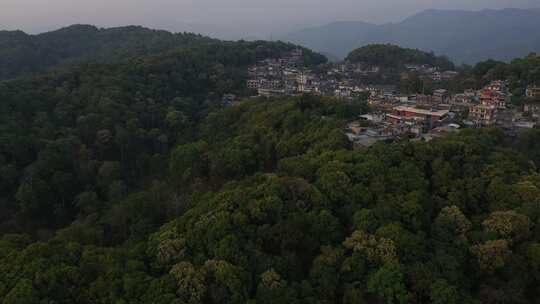 古村落古茶林森林山林树林