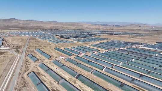 航拍农村蔬菜大棚全景