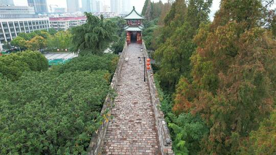 南京古城墙明城墙风光