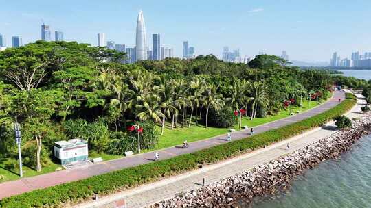 深圳湾公园绿道骑行航拍【原创素材】