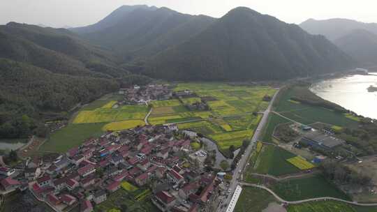 油菜花开，春日的宁国市西村风光航拍素材