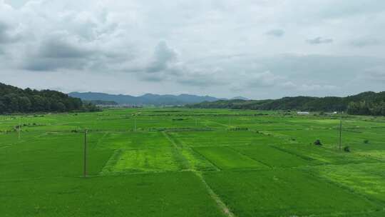 美丽乡村航拍田园风光绿色农村鸟瞰田野风景