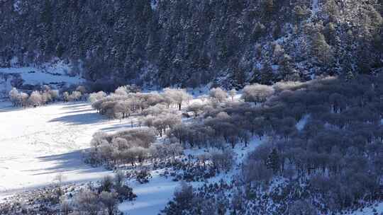 云南普达措国家公园冬季雪景航拍