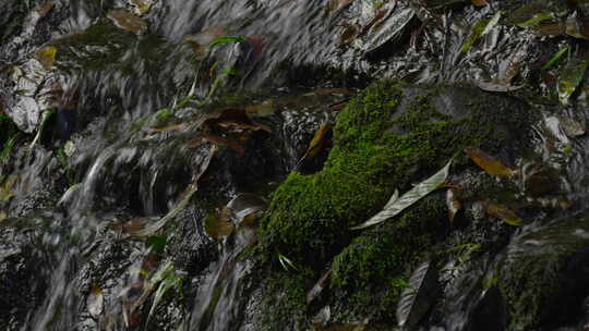 溪水河流