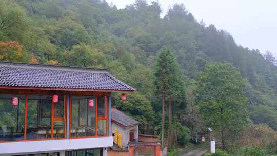 初秋山中农村雨中滴水的屋檐和树叶