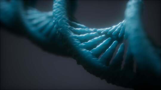 DNA基因序列动画
