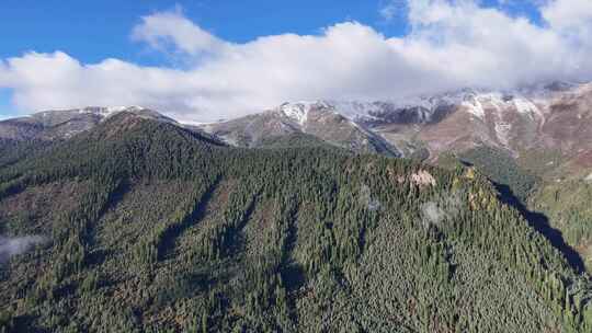 川西雪山-阿坝州若巴藏拉克山