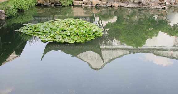 典雅的古建池塘庭院 私家园林网师园