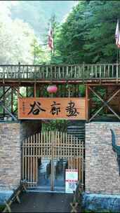 竖版航拍湖北神农架画廊谷景区