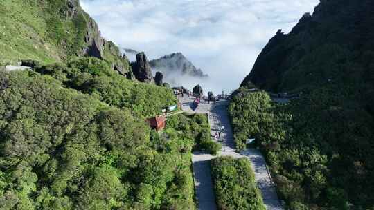 神农架神农顶神农谷旅拍