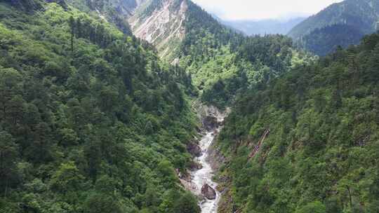 航拍四川甘孜贡嘎山区南门关沟森林河谷风光