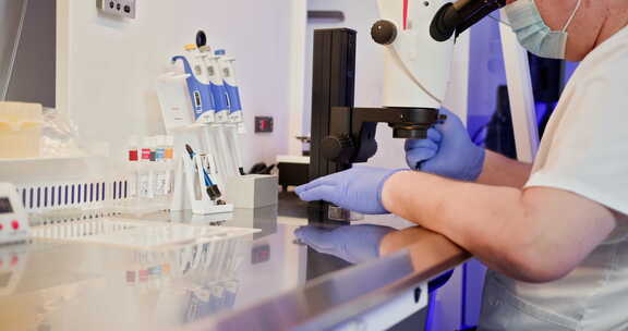 体外受精过程在行动胚胎学家在实验室设置执