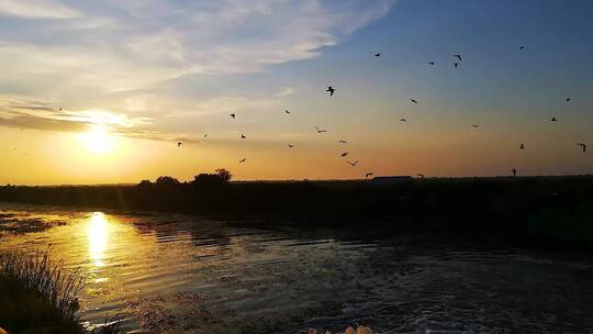 日落时的鸟儿和河流
