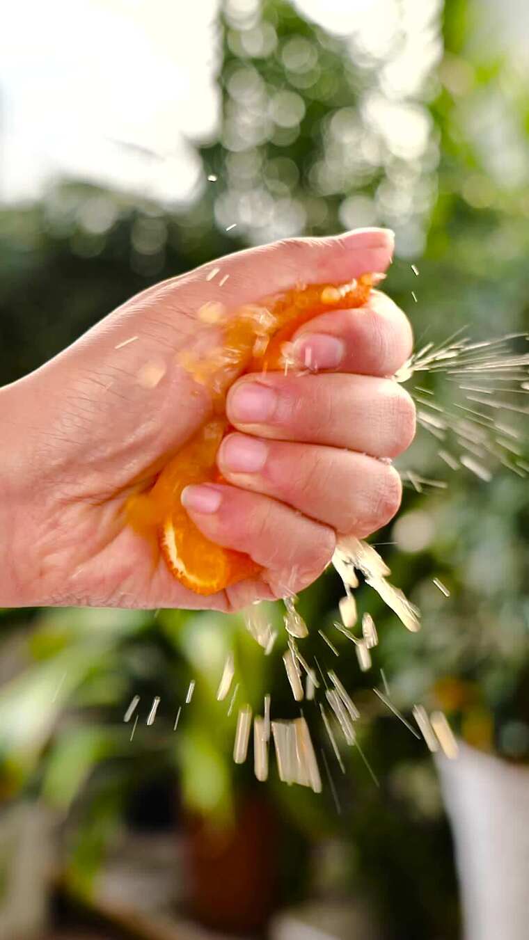 爱媛果冻橙 爱媛38号果冻橙