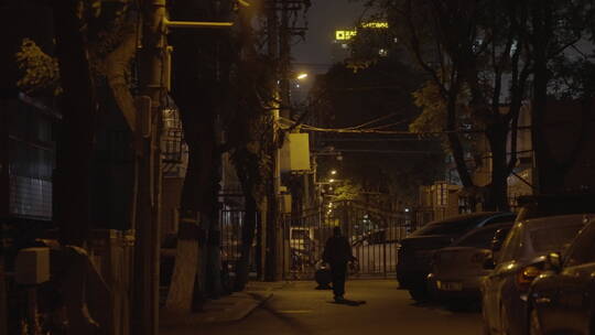 路灯 夜晚空镜 道路夜景