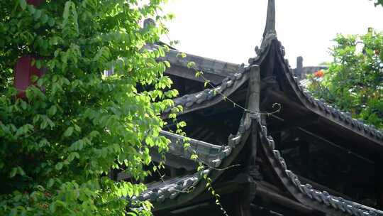 寺庙寺院禅修禅意风景素材