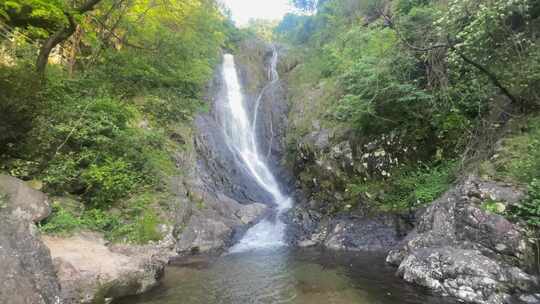 瀑布森林流水大自然小溪水山涧水源泉水山水视频素材模板下载