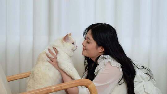 可爱猫咪陪伴时光