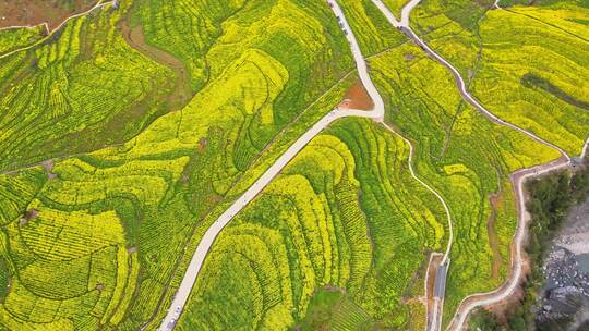 湖北恩施5A景区大峡谷绝壁花海航拍