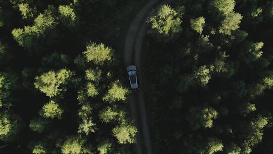 汽车在森林公路上行驶航拍
