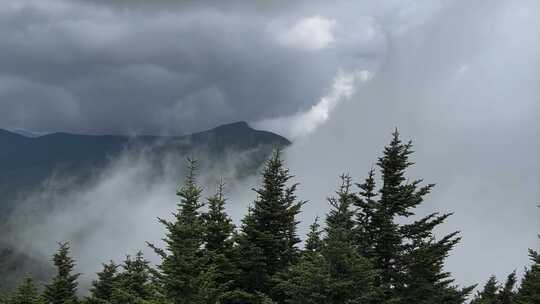 山顶云海森林雾气蒸腾风景素材