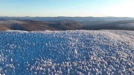 航拍寒冬林海雪原银装素裹