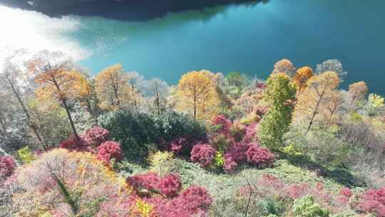 四明山秋天秋景秋色 茅镬公园