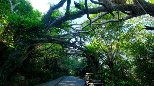 唯美山间郊外公路