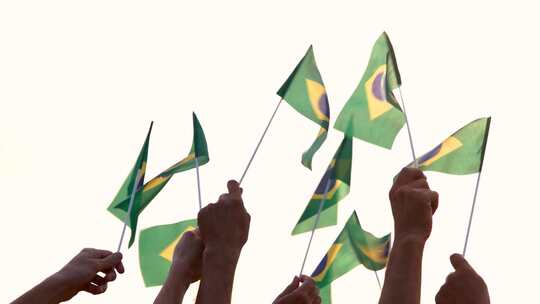 巴西手握国旗