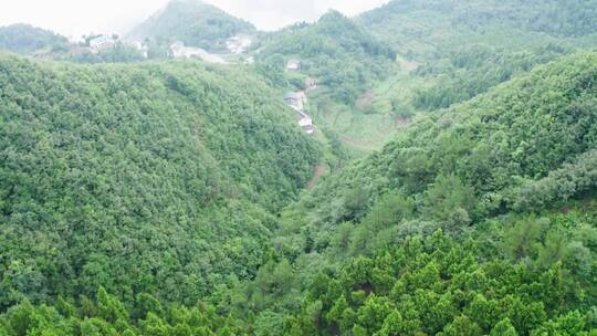 【4K】航拍四川广元曾家山云海云雾