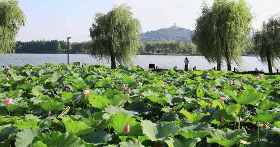 苏州石湖景区夏季风景